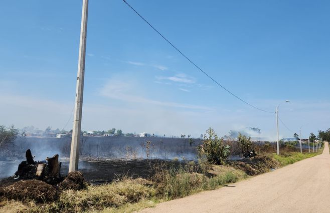 WhatsApp Image 2023-02-12 at 11.57.47.jpeg