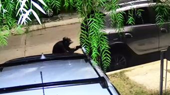 Foto: captura de video cedido a Subrayado.