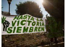 Este miércoles abren registro para autocultivadores de marihuana
