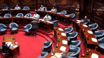 falero, mieres, rando y paganini citados al parlamento; el ministro de transporte ira el 6 de febrero