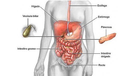 Vacuna contra hepatitis B puede prevenir cáncer de hígado