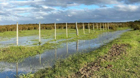 Foto: Nahuel Marichal, Subrayado.