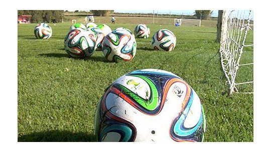 pelota