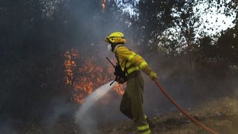 bomberos realizo recomendaciones para nochebuena y navidad tras alto nivel de riesgo de incendios
