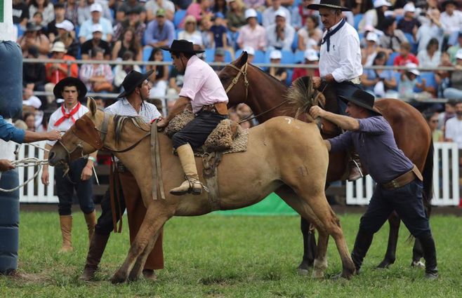 jineteadas-semana-criolla-foto-FocoUy.jpg