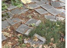 Intendencia intima a reparar veredas de Montevideo