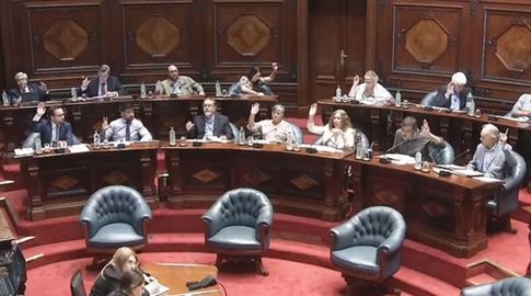 En vivo: el Senado vota el proyecto de ley que ratifica el acuerdo de comercio entre el Mercosur y la Unión Europea
