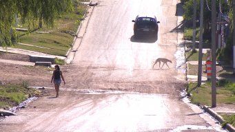 Foto: Subrayado. Barrio Plácido Ellauri, zona donde ocurrió el homicidio.