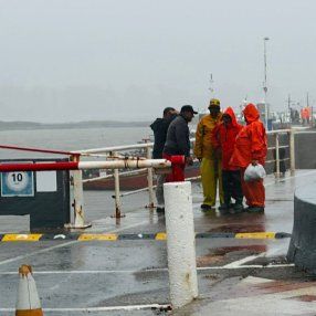 Foto: Yanina Gasañol, Subrayado. Operativo en Puerto del Buceo, Montevideo. Foto: Yanina Gasañol, Subrayado. Operativo en Puerto del Buceo, Montevideo.