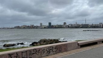 pasan las lluvias y queda el frio, el informe de nubel cisneros