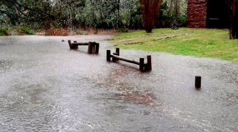 Foto: FocoUy. Foto: FocoUy.