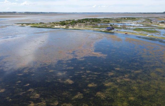 Foto: Subrayado. Laguna Garzón, Maldonado.