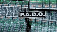 Operativo en Artigas incautó 2.000 cajillas de cigarrillos paraguayos valuadas en $680.000