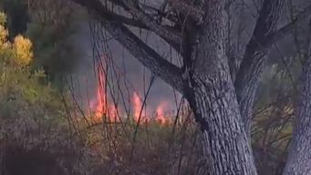 bomberos trabaja en incendio de campo generalizado en mendoza, montevideo
