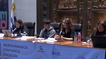 se realizo el segundo congreso internacional de neurodivergencia