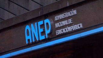 primaria, secundaria y utu: los nombres que manejan las autoridades de la educacion para las direcciones