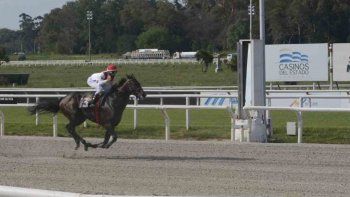 Subrayado | 8 MICRO TURF 19 D OCT