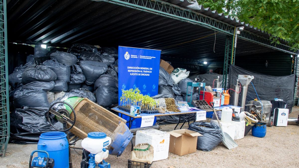 Quinto condenado por caso del laboratorio de hachís; tenía una empresa de cannabis medicinal