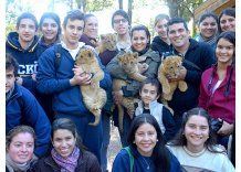 Salto bautizó a los leones del Zoo: Celeste, Ringo, Roland y Zeus