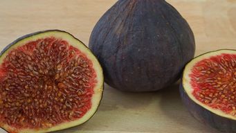 el higo como protagonista y mas frutas y verduras en la lista inteligente de la uam