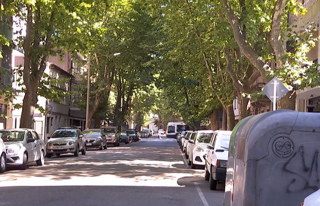 calle-arbolada-montevideo.jpg