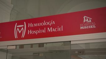 servicios de hematologia del maciel realizo 688 trasplantes de medula osea en 30 anos; su historia y avances