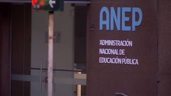 justicia fallo a favor de menonitas que no envian a sus hijos a la educacion formal