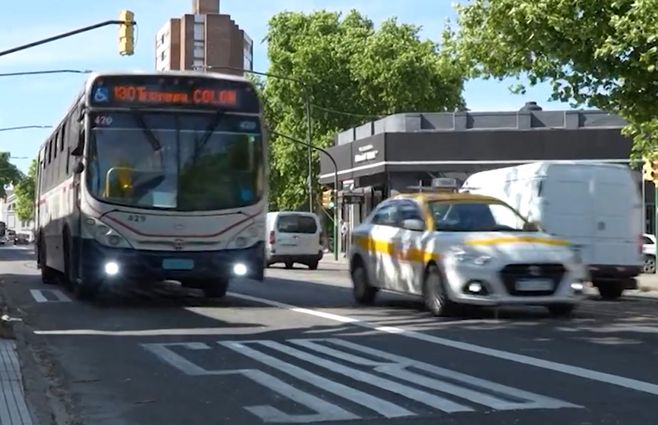 solo-bus-montevideo-intendencia-