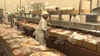 ingresos por exportaciones de carnes crecieron casi un 8% en el primer mes de 2024