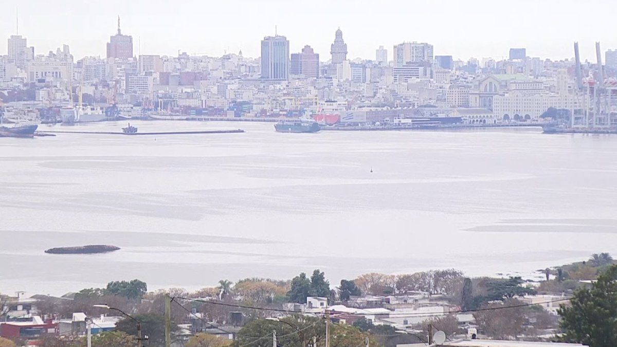 Sindicato de TCP levanta el paro en el puerto de Montevideo mientras la negociación sigue
