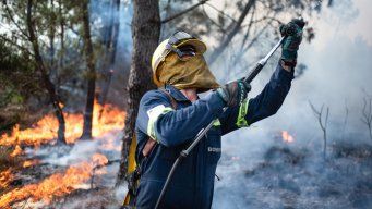 Foto: FocoUy. Bomberos, incendio forestal.
