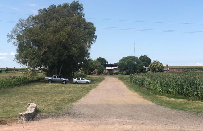 Foto: El campo en Soriano de donde partió el cargamento de soja.