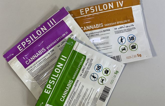 epsilon-cannabis-foto-ircca.jpg