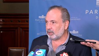 en la corriente del wilsonismo no tenemos a quien votar, dijo jorge gandini sobre interna blanca