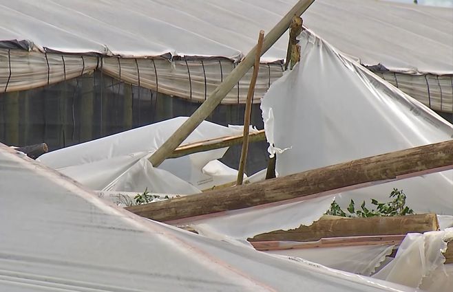 Granjas afectadas por clima.jpg