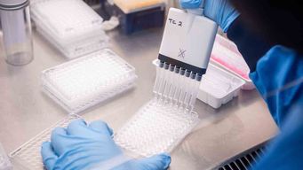 detectan el primer caso de la variante omicron en argentina