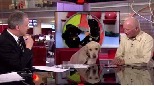 perro entrevistado por bbc