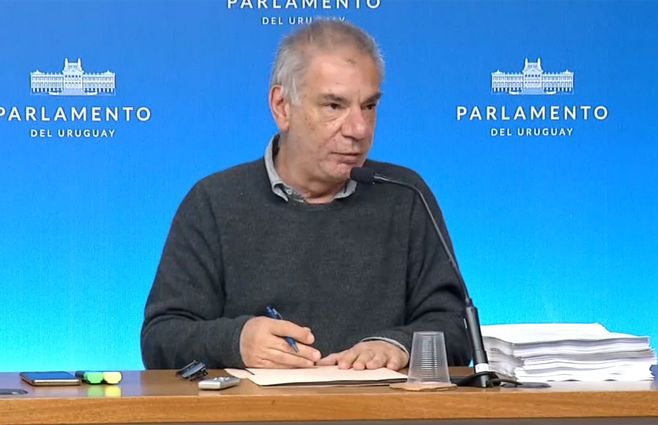 antonini.comisión-investigadora.jpg