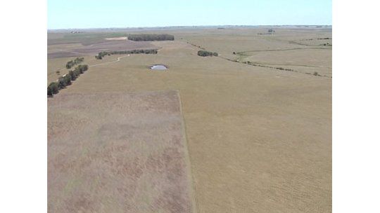 En 2010 el 77% de las compras de tierras la hicieron extranjeros