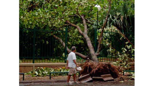 Tormentas y lluvias en Brasil provocaron graves destrozos