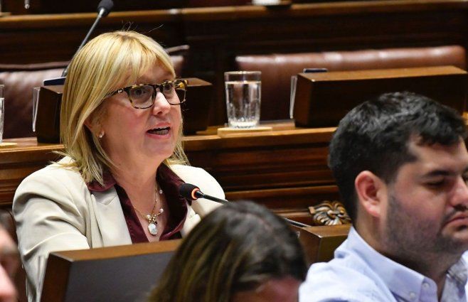 Interpelación. Cristina Lustemberg. Foto: FocoUy