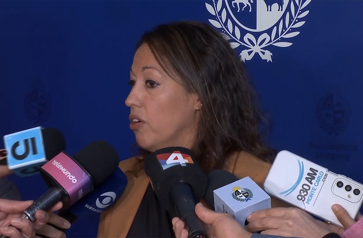 Cardona: "Estamos viendo la posibilidad de que convivan el proyecto de hidrógeno verde de HIF con el plan del portland"