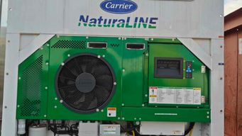 incautaron 45 kilos de cocaina en el puerto de rotterdam en un contenedor con carne que salio de montevideo