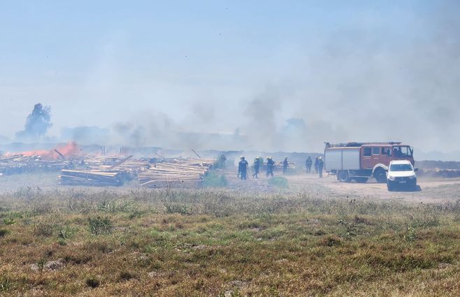 WhatsApp Image 2023-02-12 at 12.06.53 (1).jpeg