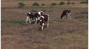 ceso alerta y preven dias nublados con poca probabilidad de lluvias