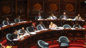 senadores de la coalicion expresan absoluto rechazo a violencia y agravios hacia robert silva
