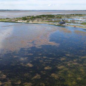 Foto: Subrayado. Laguna Garzón, Maldonado. Foto: Subrayado. Laguna Garzón, Maldonado.