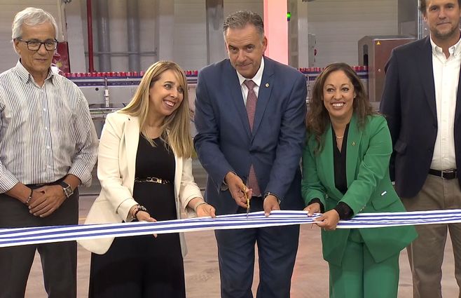 Orsi-corta-cinta-Coca-Cola