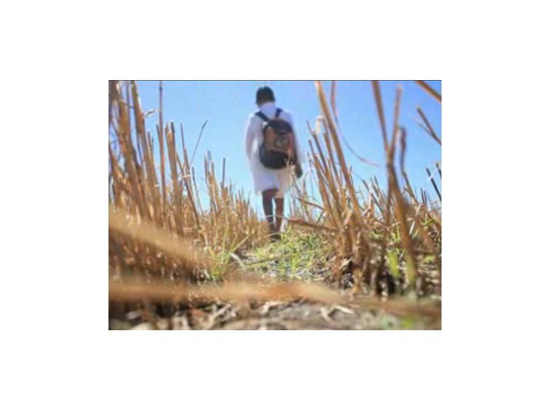 Primaria sin competencia directa en situación del niño Cero Falta