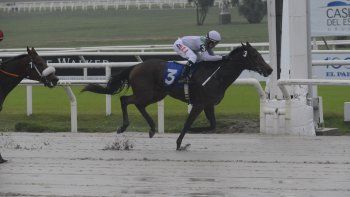 Subrayado | MICRO TURF 6 D MAY